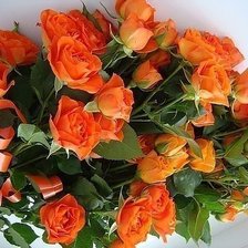 Схема вышивки «№492979»