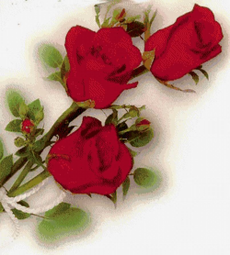 №492981 - предпросмотр