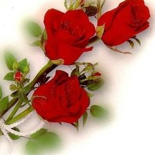 Схема вышивки «№492981»