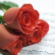 Схема вышивки «№492988»