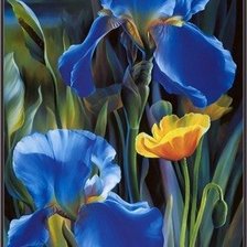 Схема вышивки «Небесные ирисы»