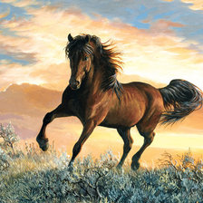 Схема вышивки «Жеребец»