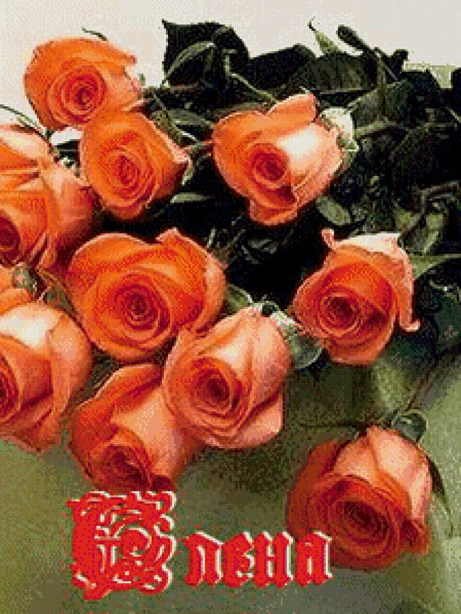 елена - имена - предпросмотр