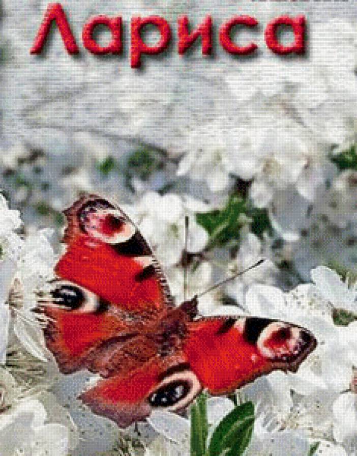 лариса - имена - предпросмотр