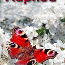 Схема вышивки «лариса»