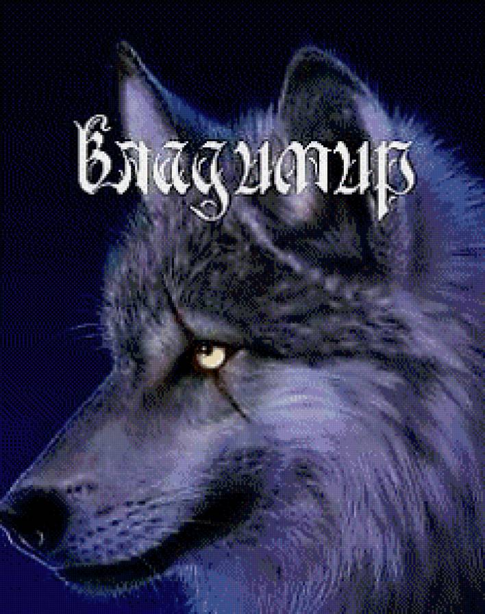 владимир - имена - предпросмотр