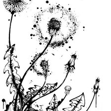 Схема вышивки «Нанами Каудрой 2»