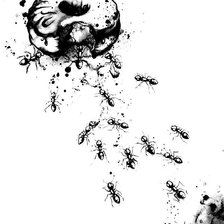 Схема вышивки «Нанами Каудрой 3»