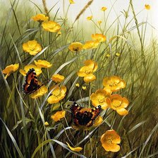 Схема вышивки «Бабочки»