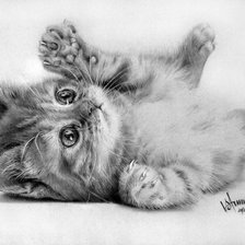 Схема вышивки «Котя»