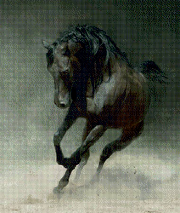 Лошадь - лошади, животные - предпросмотр