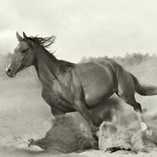 Схема вышивки «Лошадь»