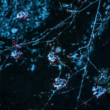 Схема вышивки «Ночь»