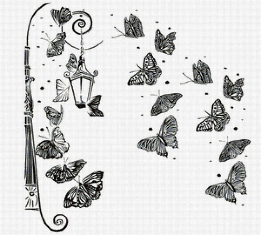 Бабочки - насекомые, бабочки - предпросмотр