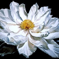 Схема вышивки «очарование»