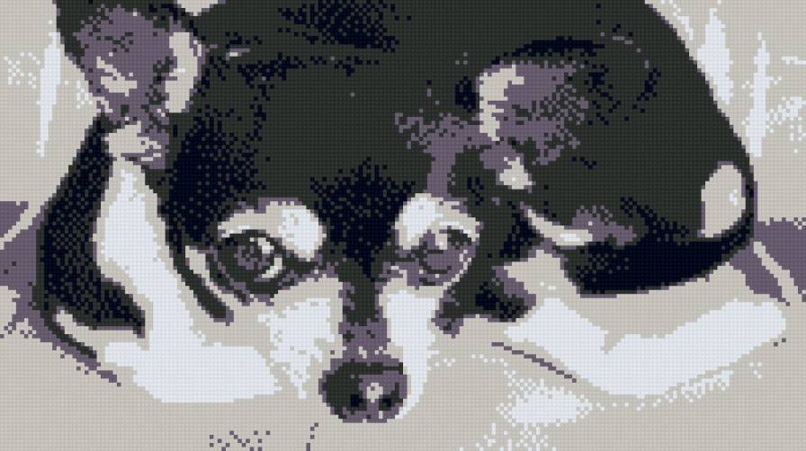 Milli - sobaca. milli - предпросмотр