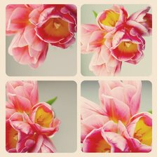 Схема вышивки «вариант подушки»