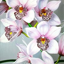 Схема вышивки «орхидеи»
