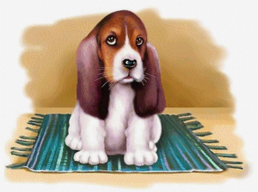 Щенок - собаки - предпросмотр