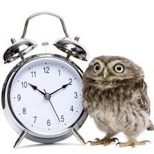 Схема вышивки «COBA»