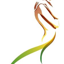 Схема вышивки «цветной силуэт»