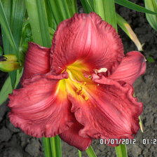 Схема вышивки «№493765»