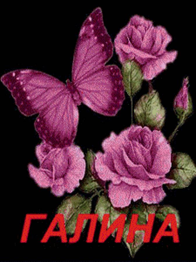 галина - имена - предпросмотр