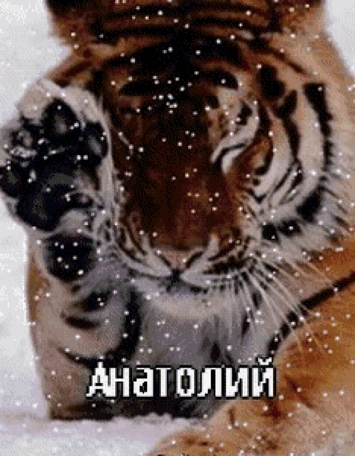 анатолий - имена - предпросмотр