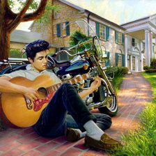 Схема вышивки «юность короля»