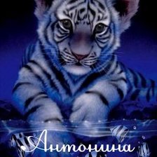 Схема вышивки «антонина»