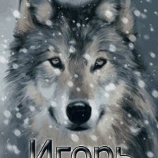 Схема вышивки «игорь»