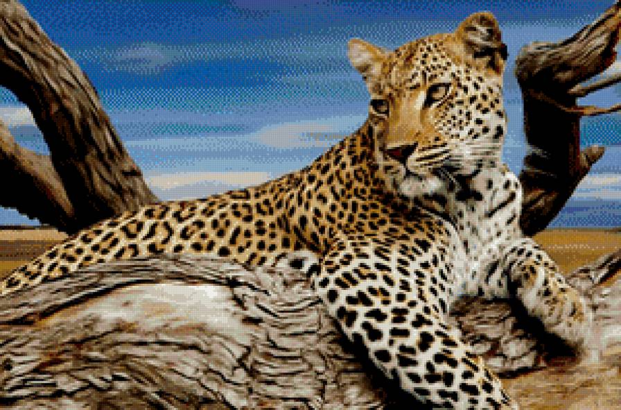 дикий красавец - дерево, живопись, леопард, хищник - предпросмотр