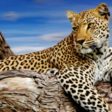 Схема вышивки «дикий красавец»