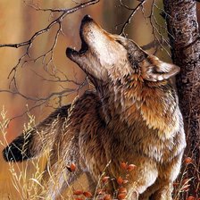 Схема вышивки «Волк»