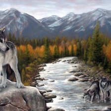 Схема вышивки «Волки»