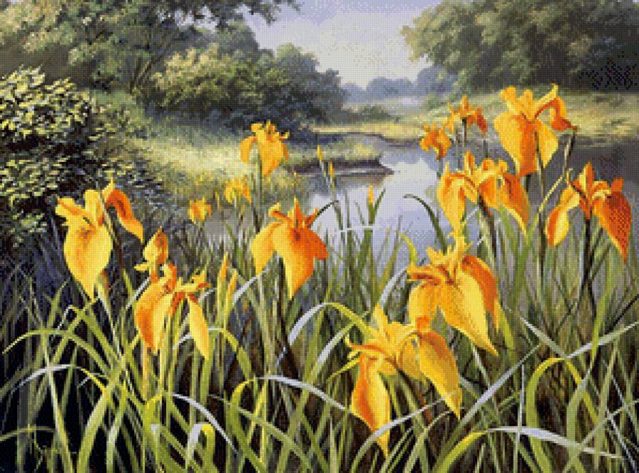 Лесное озеро - пейзаж - предпросмотр