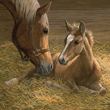 Рядом с мамой