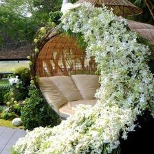 Цветочный Павлин