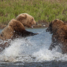 Схема вышивки «мишки»