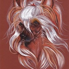 Схема вышивки «№494069»