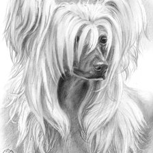 Схема вышивки «№494072»