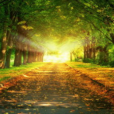 Схема вышивки «Закат в лесу»