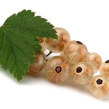 Смородинка белая ))