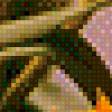Предпросмотр схемы вышивки «тюльпаны» (№494166)