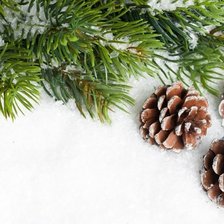 Схема вышивки «Сосновые шишки.»