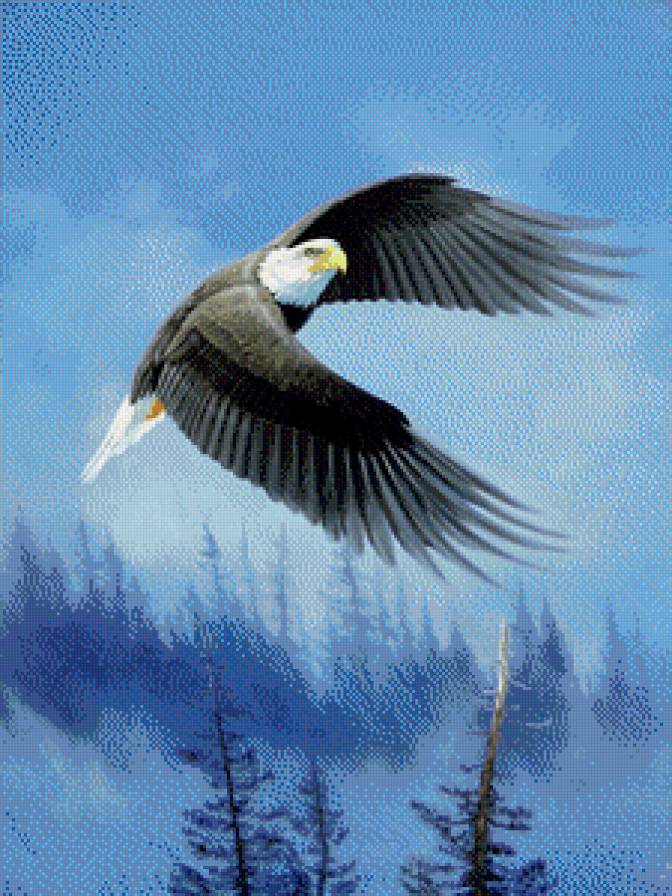 гордая птица - птицы, картина - предпросмотр