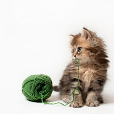 Схема вышивки «Котенок»