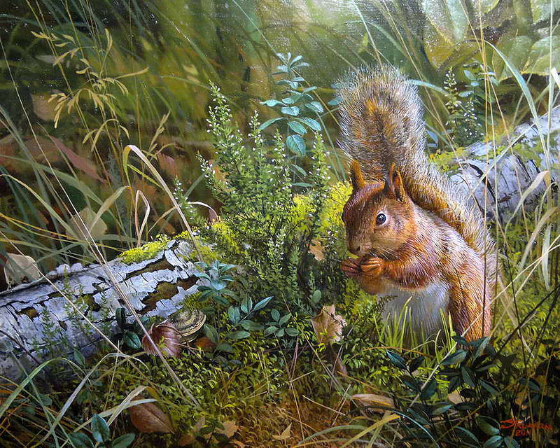 белочка - картина, животные - оригинал