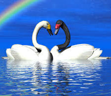 Схема вышивки «верность»