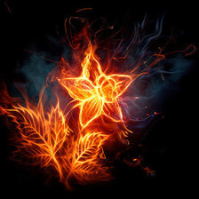 Схема вышивки «огненный цветок»